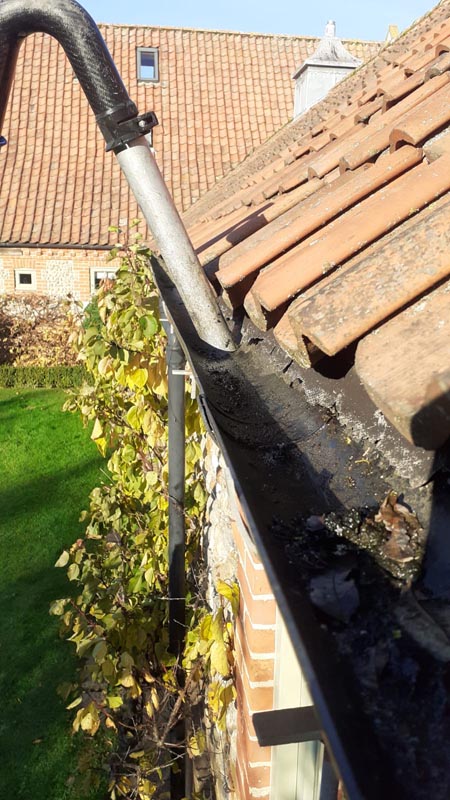 Roof Cleaning (35).jpg